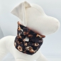 Preview: Loop für Hunde Dackel im Herbst
